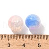Mixed Style Glass Beads GLAA-XCP0012-02F-3