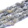 Raw Rough Natural Labradorite Beads Strands G-I279-B07-1