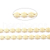 Brass Skull Link Chains CHC-H100-15G-3