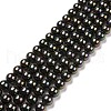 Shell Pearl Bead Strands X-BSHE-L025-05-12mm-4