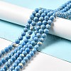 Synthetic Turquoise and Sea Shell Assembled Beads Strands G-D482-01A-04-1