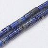 Natural Lapis Lazuli Beads Strands G-G968-F04-1