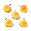 Imitation Food Resin Pendants RESI-CJC0015-28-1