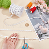 BENECREAT 22.5 Yards Nylon Elastic Ribbons with Loops OCOR-BC0006-79-3