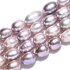 Natural Cultured Freshwater Pearl Beads Strands PEAR-N012-08M-4