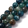 Natural Dragon Veins Agate(Dyed & Heated) Beads Strands G-K390-A01-01-2