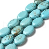 Natural Howlite Beads Strands G-C025-12A-1