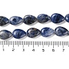 Natural Sodalite Beads Strands G-K357-A01-01-5