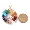 Natural & Synthetic Gmestone Copper Wire Big Pendants PALLOY-JF01433-01-2
