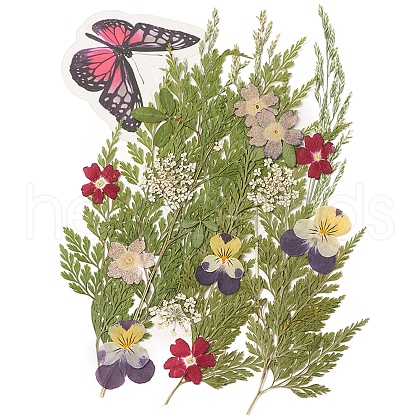 Pressed Dried Flowers DIY-YWC0001-96-1