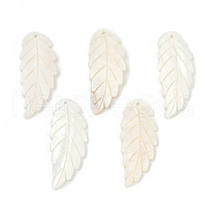 Natural Freshwater Shell Big Pendants SHEL-K006-44-1
