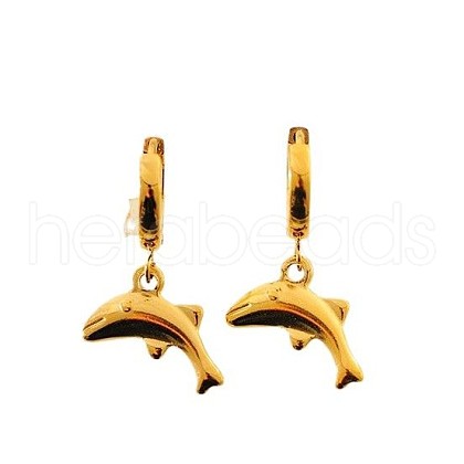 304 Stainless Steel Hoop Earrings FS-WG28AB1-02-1