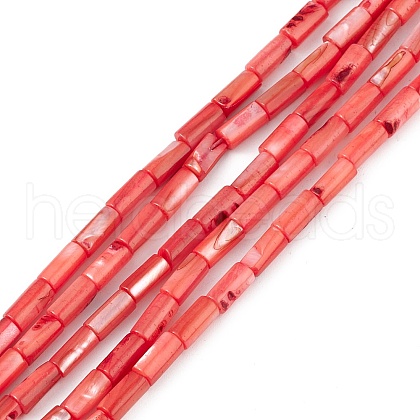 Natural Freshwater Shell Dyed Beads Strands X-SHEL-M018-11-07-1