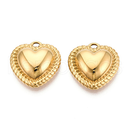 304 Stainless Steel Pendants STAS-T065-43G-1