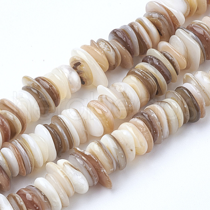 Natural Shell Beads Strands SSHEL-Q298-13-1