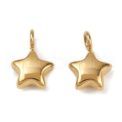 304 Stainless Steel Charms STAS-R170-01G-01-1