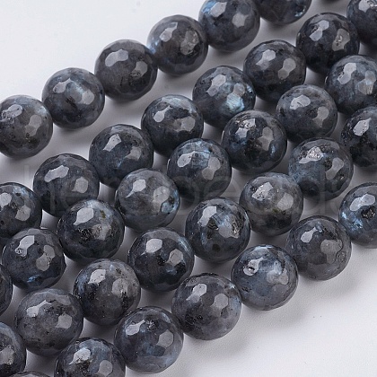 Natural Larvikite Beads Strands X-G-G542-10mm-27-1