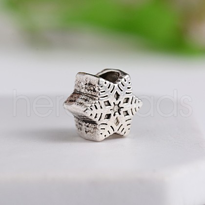 Tibetan Style Snowflake Zinc Alloy European Beads MPDL-M050-02AS-1