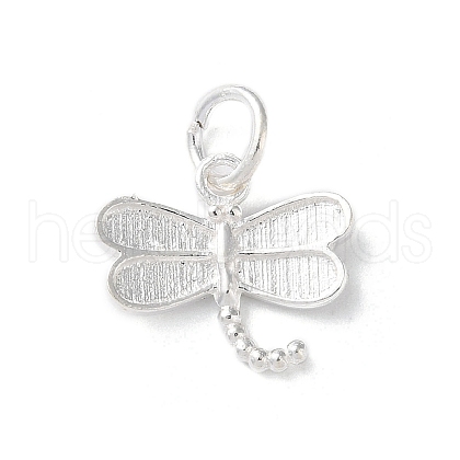 925 Sterling Silver Insect Charms STER-E071-05S-04-1