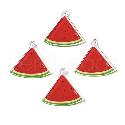 Translucent Acrylic Pendants TACR-N013-004-1