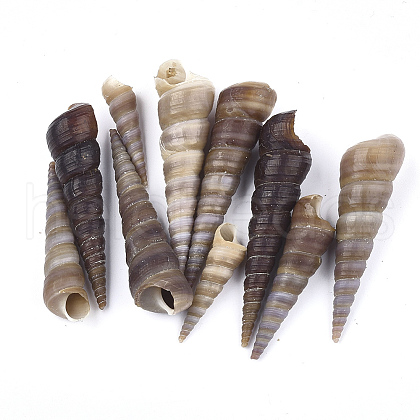 Spiral Shell Beads SSHEL-S258-34-1