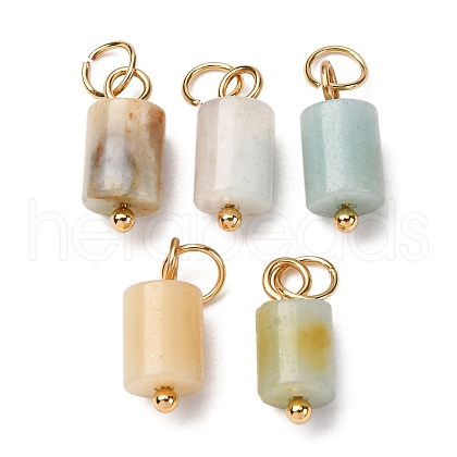 Natural Flower Amazonite Column Charms with 304 Stainless Steel Jump Rings G-Q032-01G-1