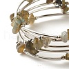 5-Loop Natural Labradorite Chip Beaded Wrap Bracelets for Women BJEW-JB01517-07-4