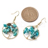 Natural Mixed Stone Chips Dangle Earrings EJEW-JE05726-5