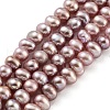 Natural Cultured Freshwater Pearl Beads Strands PEAR-C003-10E-2