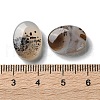 Natural Dendritic Agate Cabochons G-B138-03-3
