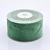 Polyester Velvet Ribbon for Gift Packing and Festival Decoration SRIB-M001-19mm-587-1
