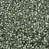 MIYUKI Delica Beads SEED-J020-DB2378-1