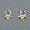 Five-Star Brass Hoop Earrings FT9728-2