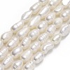 Natural Cultured Freshwater Pearl Beads Strands PEAR-J006-18B-01A-1