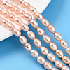 Natural Cultured Freshwater Pearl Beads Strands PEAR-N012-AA-02-1