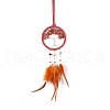 Iron & Natural Carnelian Woven Web/Net with Feather Pendant Decorations PW-WG44935-03-1