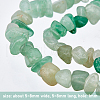 Olycraft 2 Strands Natural Aventurine Chip Bead Strands G-OC0002-41-3