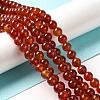 Natural Carnelian Beads Strands G-G390-8mm-03-1
