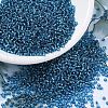 MIYUKI Round Rocailles Beads SEED-G007-RR0025-1