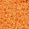 Baking Paint Glass Seed Beads SEED-S042-05A-30-3