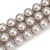 Round Shell Pearl Beads Strands BSHE-XCP0001-51-2