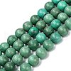 Natural Howlite Beads Strands G-C180-16D-1