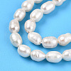 Natural Cultured Freshwater Pearl Beads Strands PEAR-N012-04U-4