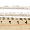Natural Keshi Pearl Cultured Freshwater Pearl Beads Strands PEAR-P062-25E-5