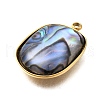 304 Stainless Steel Pave Natural Paua Shell Pendants STAS-Z125-01B-G-2