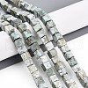 Natural Variscite Beads Strands G-T140-41A-1