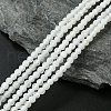 Natural Crackle Agate Beads Strands G-G055-4mm-5-1