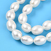 Natural Cultured Freshwater Pearl Beads Strands PEAR-N012-07X-01-3