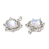 Zinc Alloy Pendants PALLOY-Q449-01P-2