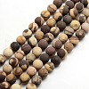 Frosted Natural Zebra Jasper Round Bead Strands G-M064-8mm-03-1